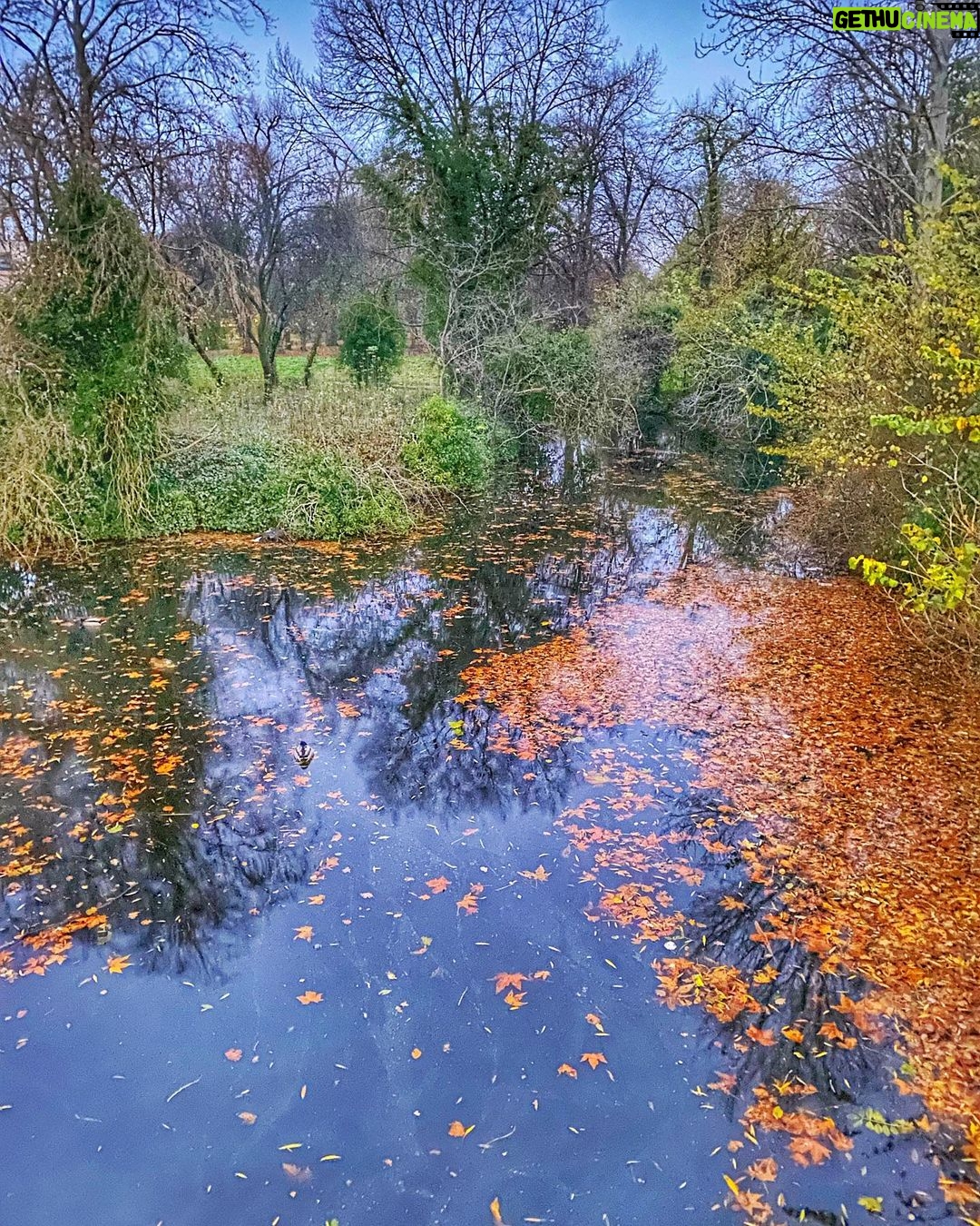 Tuvana Türkay Instagram - 🍁🍂 Regent's Park