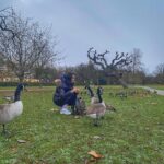 Tuvana Türkay Instagram - 🦆 Regent's Park