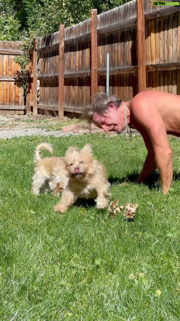 Ty Pennington Instagram - When everyone else is doing it…. 😵‍💫🤢 #missedmybabies . . . . #rescuedog #rescuedogs #rescuedogsofinstagram #mybabies #dogs #cute #cutedogs #puppy #adoptdontshop Denver, Colorado