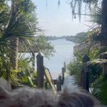 Ty Pennington Instagram - This view, those dogs, the person sitting next to me… grateful for it all 🙏🏼✨#stillness The Hammock