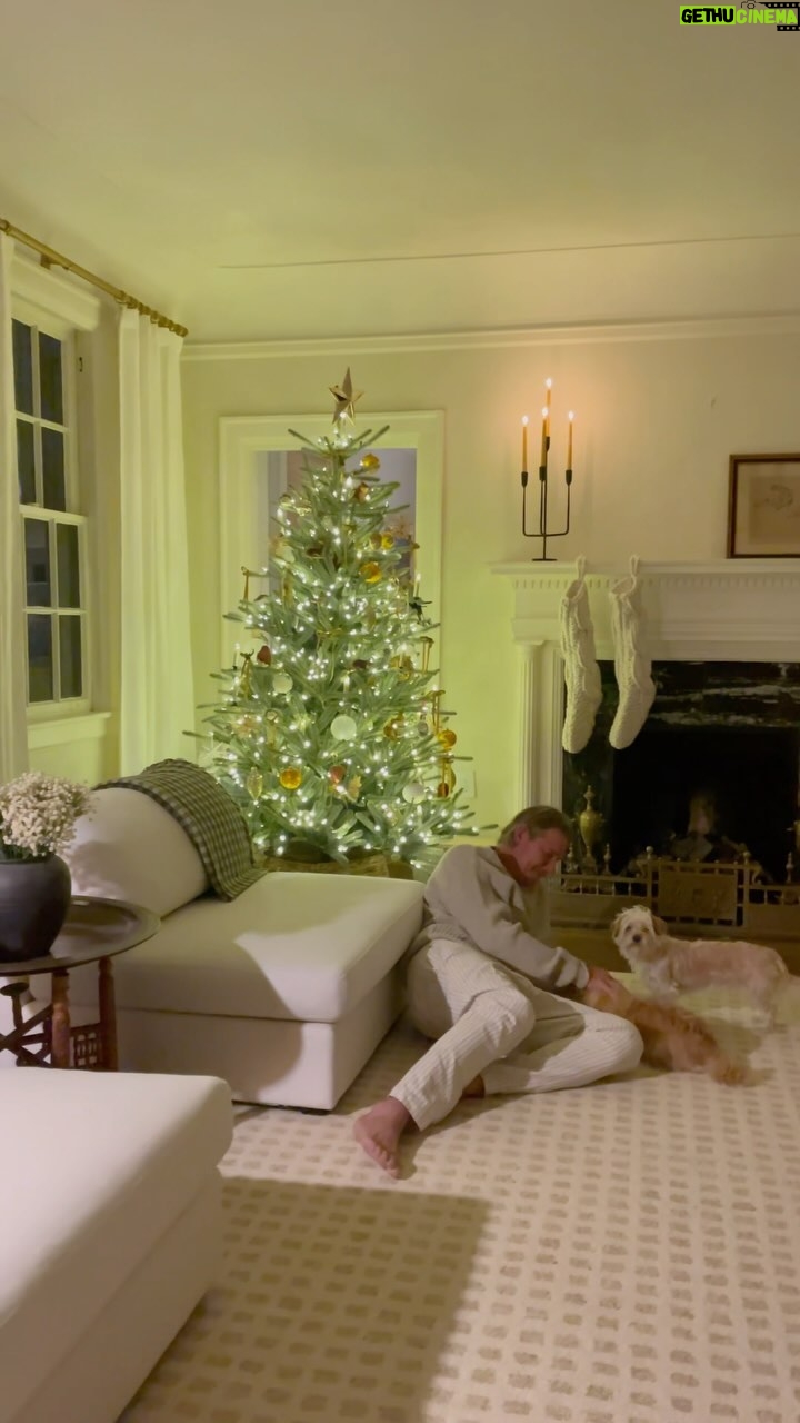 Ty Pennington Instagram - Anyone else still have to do their Christmas shopping? No? Just me?! š¬š« #christmasdecor #christmas #holidayseason #christmastree #rescuedogs #rescuedogsofinstagram #typenningtondesign #interiors #design #decor #thisoldhouse #historichomes Savannah, Georgia