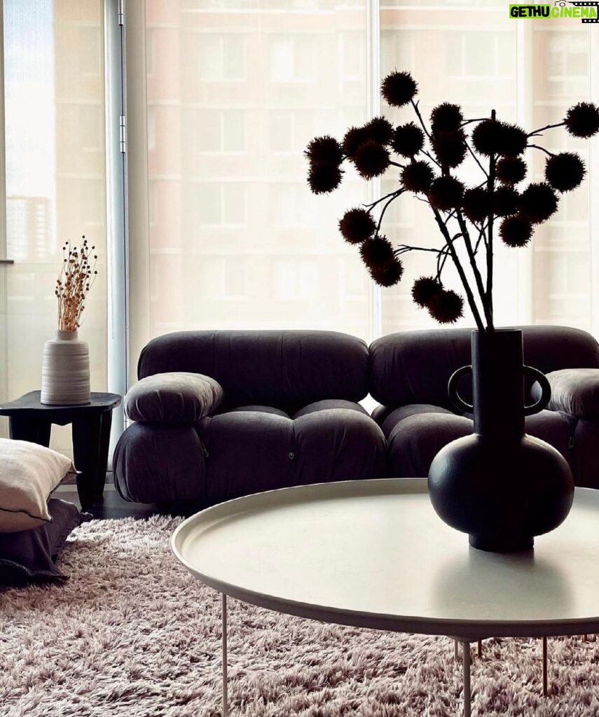 Ty Pennington Instagram - A New York vibe ✨ #mariobellini #camaleonda #italiandesign #italianstyle #design #interiors #interiordesign #decor #TyPenningtonDesign Chelsea, Manhattan
