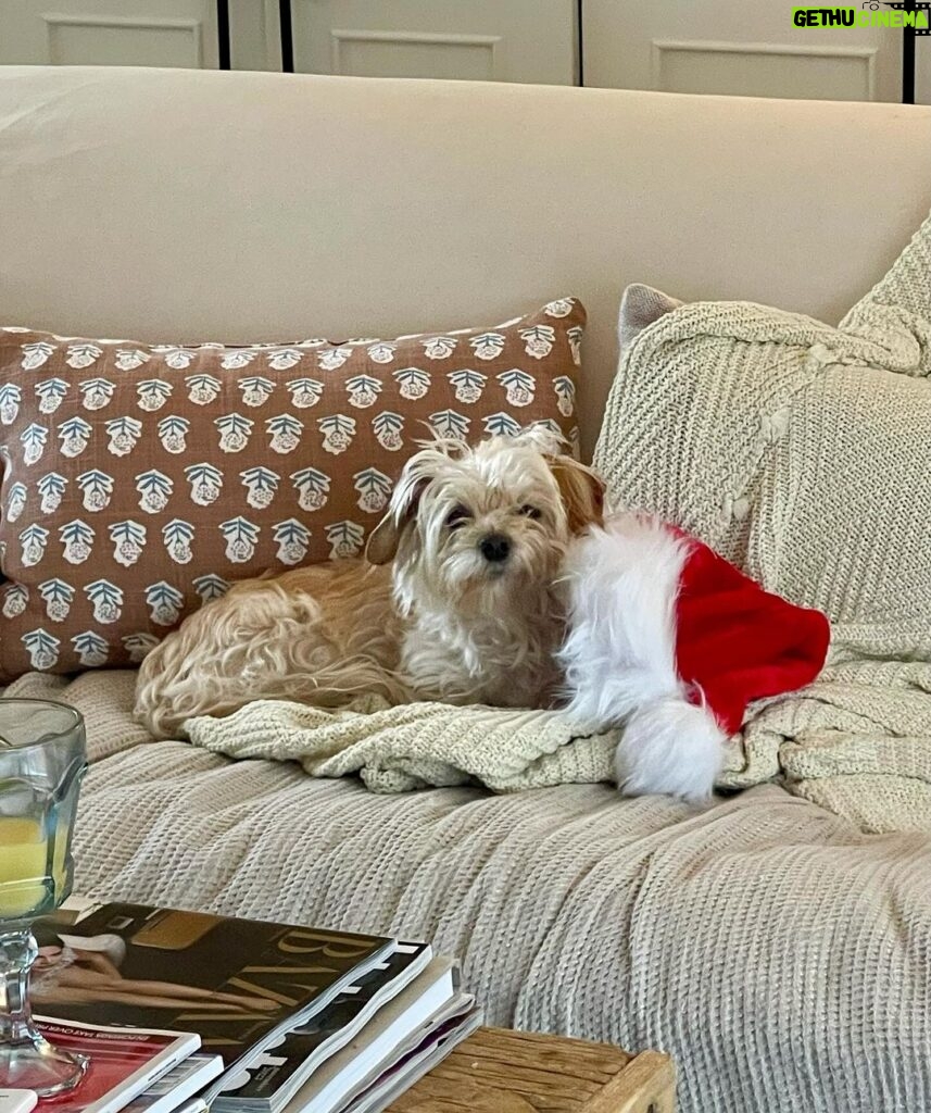 Ty Pennington Instagram - Christmas crumbs 🎄✨🍳 Hope everyone had a jolly holiday! ❤️ Savannah, Georgia