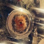 Ty Pennington Instagram – Christmas crumbs 🎄✨🍳 Hope everyone had a jolly holiday! ❤️ Savannah, Georgia