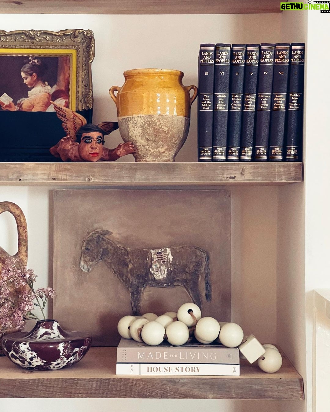 Ty Pennington Instagram - Rule number 1: always buy the donkey art! Reclaimed shelves by the best @darrenkeefe šš¼ Art by @paulmeyerstudios šš¼ #shelfie #donkeyart #donkeylovers #collected #collectedhome #typenningtondesign Savannah, Georgia