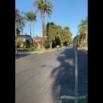Tyler, the Creator Instagram – 1. innocent (original 1995)