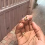 Tyler, the Creator Instagram – all aint well ya know