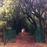 Tyler, the Creator Instagram – 3. 3Kings (hov only version)