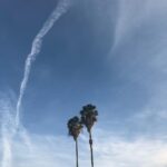 Tyler Blackburn Instagram – Chem trail or nah?