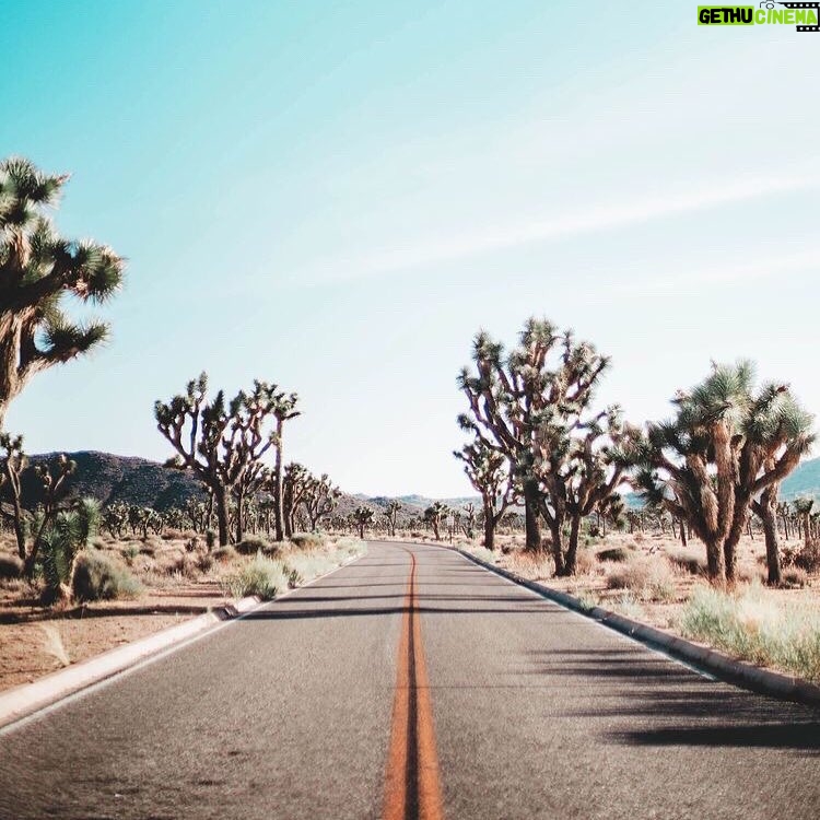 Tyler Blackburn Instagram - Keep it moving.