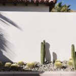 Tyler Blackburn Instagram - California dreamin’ 🌵