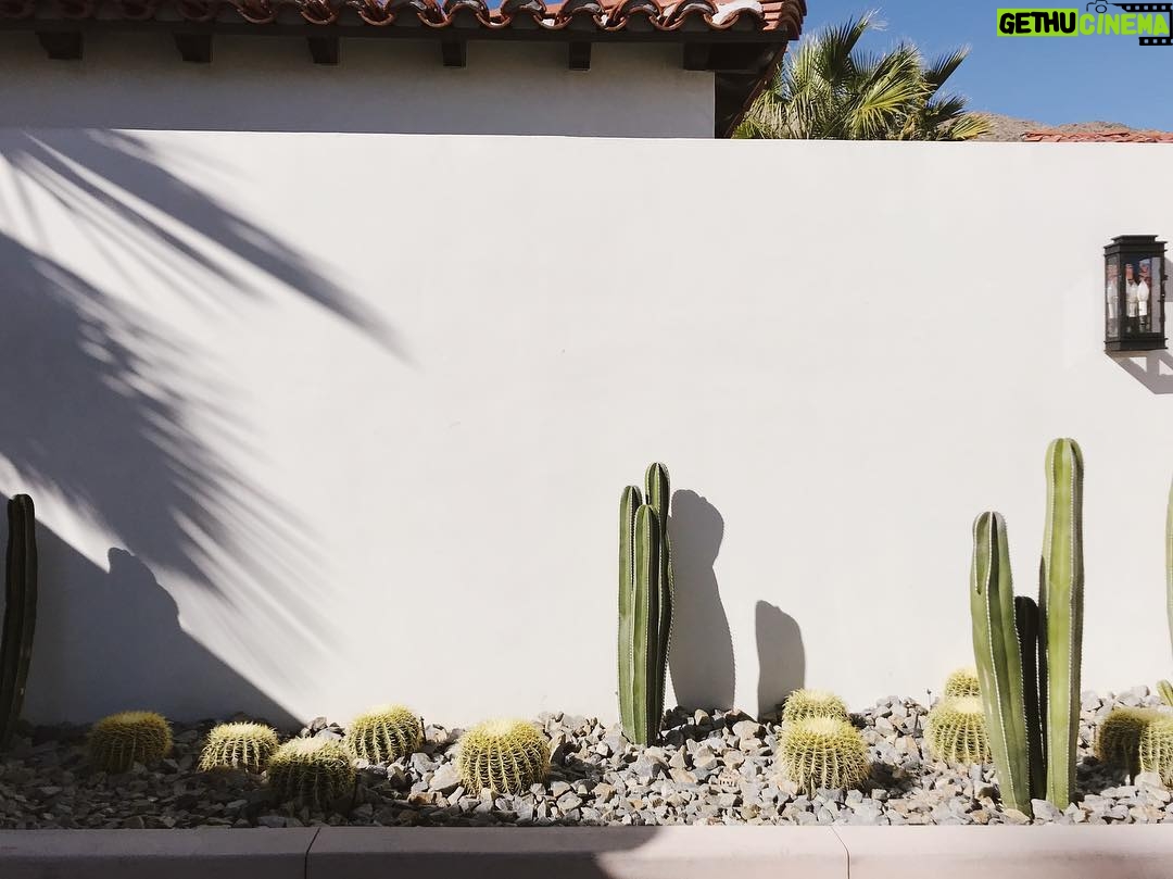 Tyler Blackburn Instagram - California dreamin’ 🌵