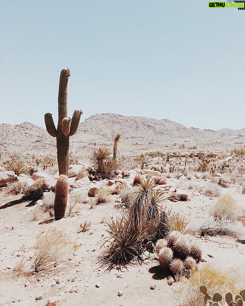 Tyler Blackburn Instagram - Road trip 🤘🏽 Joshua Tree, California