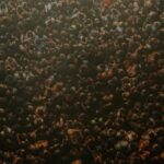 Tyler Joseph Instagram - the bandito tour is very special to me, including any of you who made it to a show this year. thank you. things get quiet around this time, and i’m reminded why i write so much about the lack of sound. it’s deafening. all of the questions. is what i’m doing any good. this last album, was it good enough. what’s the point. i hate typing them out, which might be why i refuse to grant them their proper punctuation. but then i’m reminded of the show and the people who come. this odd theatrical convention we have landed on as a species, a concert, is somehow healing and protecting, boosting the immune system of the psyche. maybe it’s the ethereal sensation of hearing you all singing in unison, or its the natural warmth of the collective body heat from the pit billowing toward me. whatever it is, i’ve learned it can be harnessed and preserved so that the echoes of its effects can be tapped in to when needed. kneeling down in front of you during the show, i’m collecting. and now as i type this out i’m unpacking, to combat those questions that show up in the quietest of places. feels silly just saying “thank you for coming to the show” so i thought i’d explain it a little. see you at the next one. |-