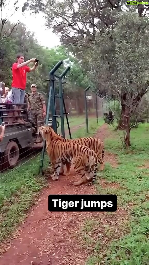 Tyrese Gibson Instagram - Nope….. I’m never going tiger watching