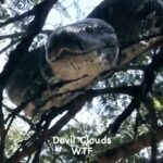 Tyrese Gibson Instagram -