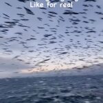 Tyrese Gibson Instagram -