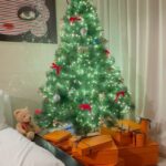 Uhm Ji-won Instagram - 벌써 12월 한 해 마무리의 시작. 울 강쥐들이랑 @love_wonnie1230 트리만들기🎄🌲 우리 2023년 예쁘게 마무리해요💓