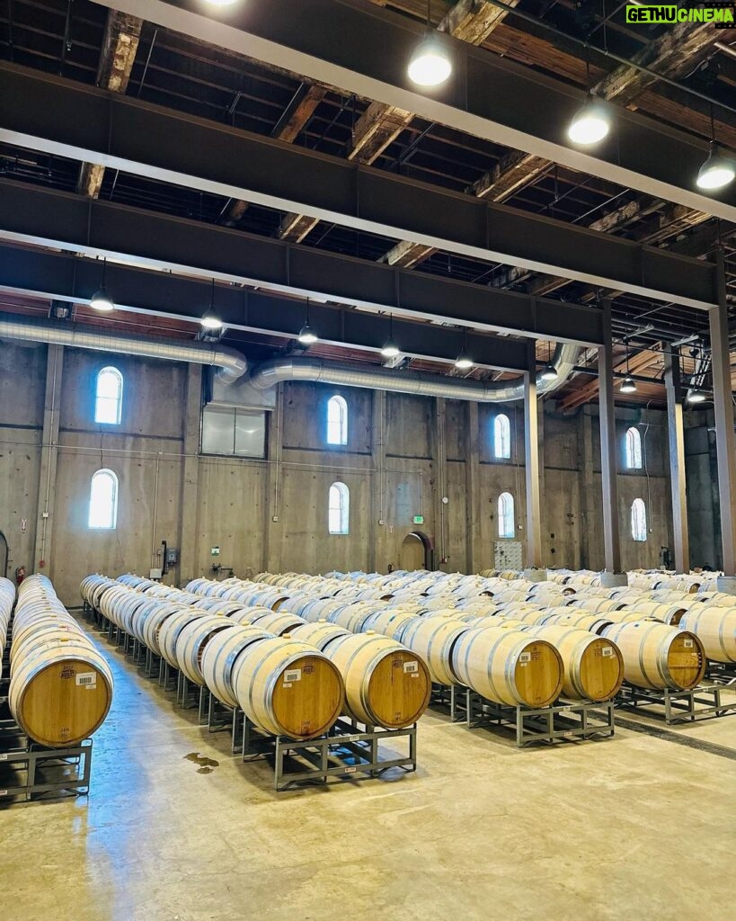 Uhm Ji-won Instagram - 몬다비 가문에서 운영하는 @charleskrugwinery 전통이 있는 와이너리 답게 스파클링 화이트 레드 모두 균형감이 좋았다 #napa #winerytour Charles Krug Winery