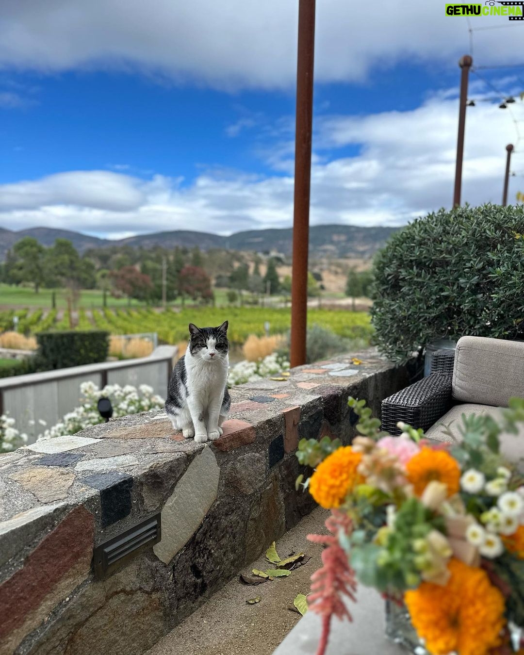 Uhm Ji-won Instagram - #napavalley #yountville