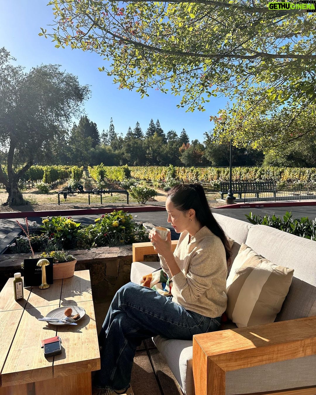 Uhm Ji-won Instagram - #napavalley #yountville