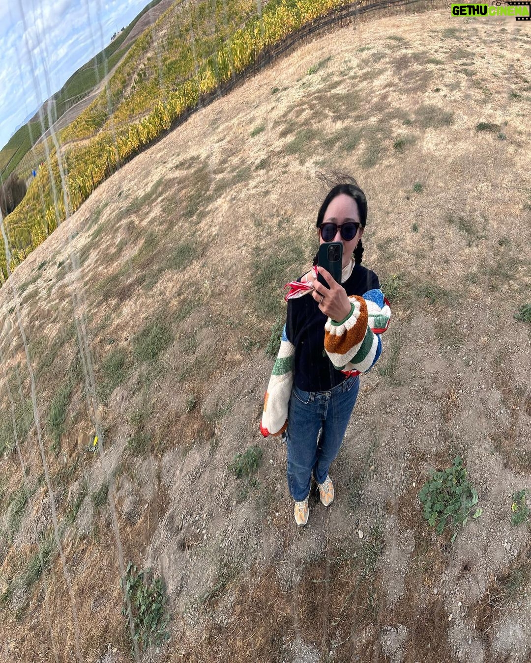 Uhm Ji-won Instagram - #napavalley #yountville