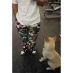 Uhm Tae-woong Instagram -