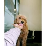 Uhm Tae-woong Instagram -