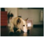Uhm Tae-woong Instagram -