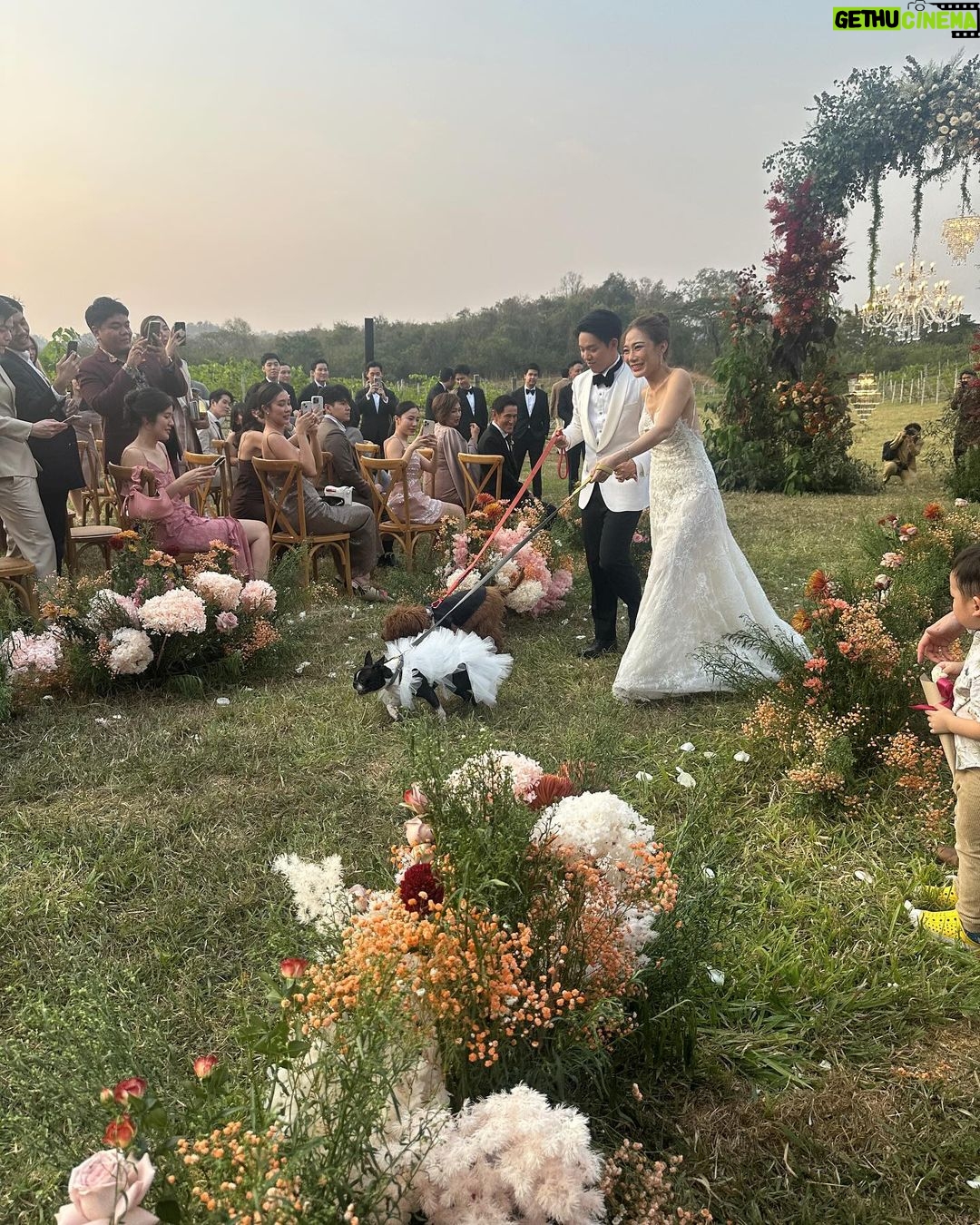 Urassaya Sperbund Instagram - Beautiful beautiful wedding with my person @tibbiee 💕 so very happy for you @nattynantanat and @mannyyy.l