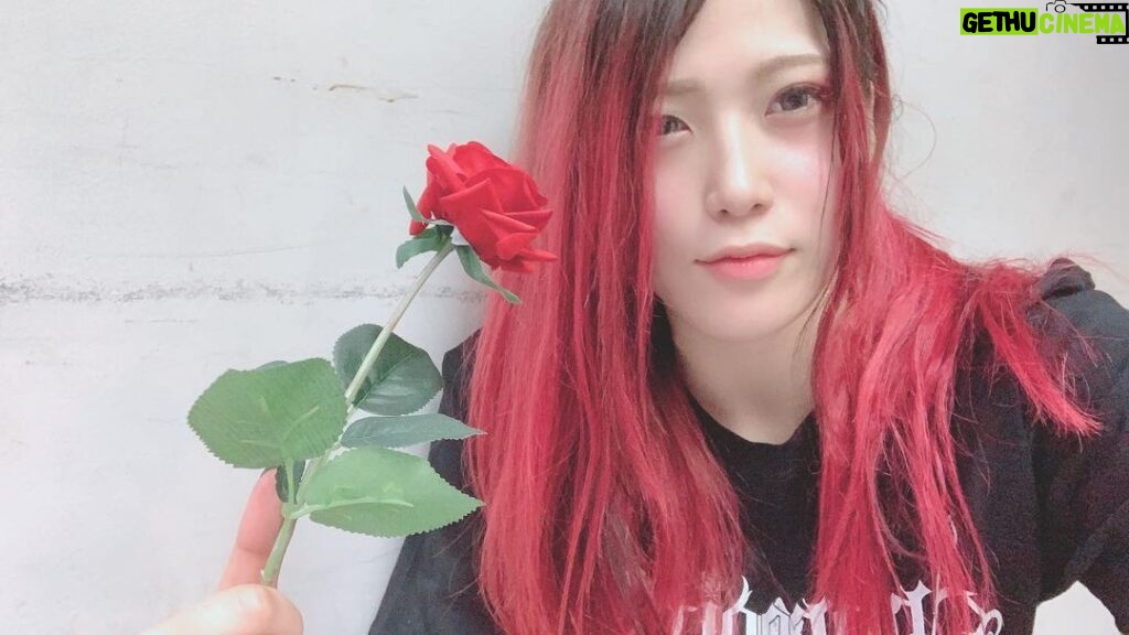 Utami Hayashishita Instagram - 朱里さんから想いのこもってそうな薔薇もらった🌹 #STARDOM #QQ