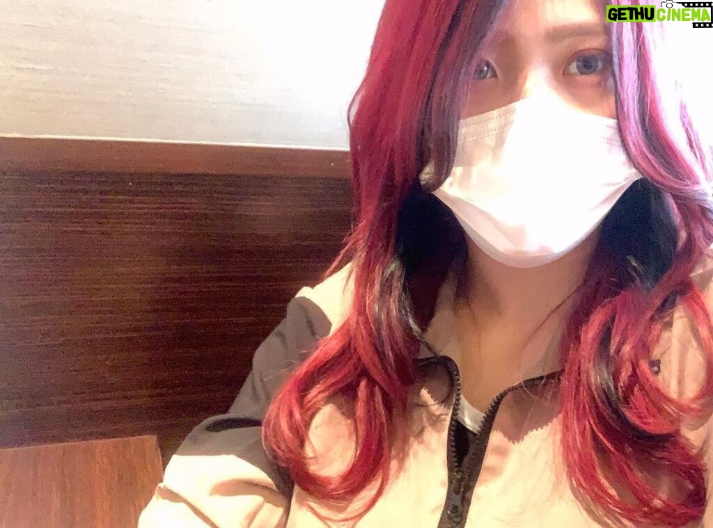 Utami Hayashishita Instagram - 髪色入れ直してきた✨ 濃いめのにしてもらったよ！ 勝田さんプロレスが好きなのでプロレスの話もして楽しかった〜🌹 #シュワルツコフ #ピラミンゴ #ピラミンゴカラー #ファイバープレックス #GAMO #STARDOM #M #GAMO dragee