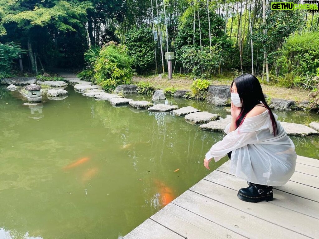 Utami Hayashishita Instagram - 🌹 . 鯉の主がいました . #STARDOM #QQ