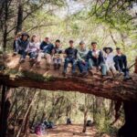 Uyan Tien Instagram - 這次去爬閂山鈴鳴實在太酷了！2天總共40公里，每一天20公里左右～ 很多很有趣的景象！這幾天我來多多分享給大家 (⁎⁍̴̛ᴗ⁍̴̛⁎) 誰想爬過閂山？ ——————————————— #登山 #爬山 #百岳 #閂山鈴鳴 閂山鈴鳴山