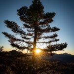 Uyan Tien Instagram - 人生可給你各種不同的冒險！我近期選擇 #爬山 ！ 桃山山頂，3325M