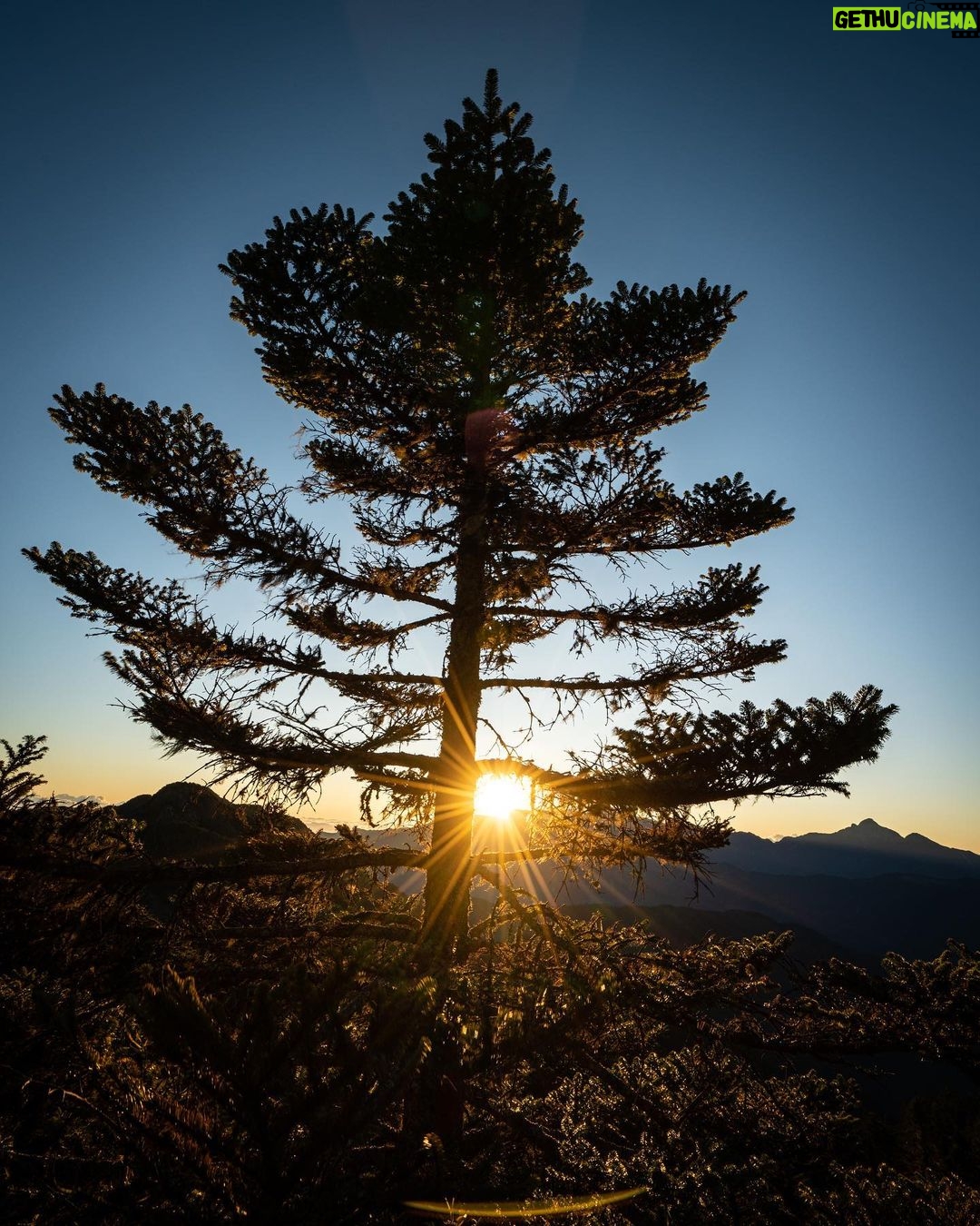 Uyan Tien Instagram - 人生可給你各種不同的冒險!我近期選擇 #爬山 ! 桃山山頂,3325M