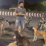 VJ Thanigai Instagram - 🤣❤️ 🐕 #dogsofinstagram #doglover #doggystyles #streetfood #dinner #soruthanmukiyam #midnight #foodie #drive #thanikai #actor #spreadlove ❤️ ECR