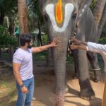 VJ Thanigai Instagram - ஆன்மிக பயணம் 🥰 #temple #elephant #animals #pets #spreadlove ❤️ Kumbakonam temple city/கும்பகோணம் கோவில் நகரம்