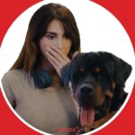 Vaani Kapoor Instagram - When it comes to my pet’s favourite Drools Dog Sausages, it’s all paws off! Made with the goodness of real chicken & 0 fillers, these sausages are a tasty tender treat that your pet will DROOL over! Grab a jar now ❤️ #droolsindia #pets #dog #treats