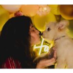 Vaishnavi Arulmozhi Instagram – Late birthday pics post with Alai 🐾 
#vaishnavi #vaishnaviarulmozhi