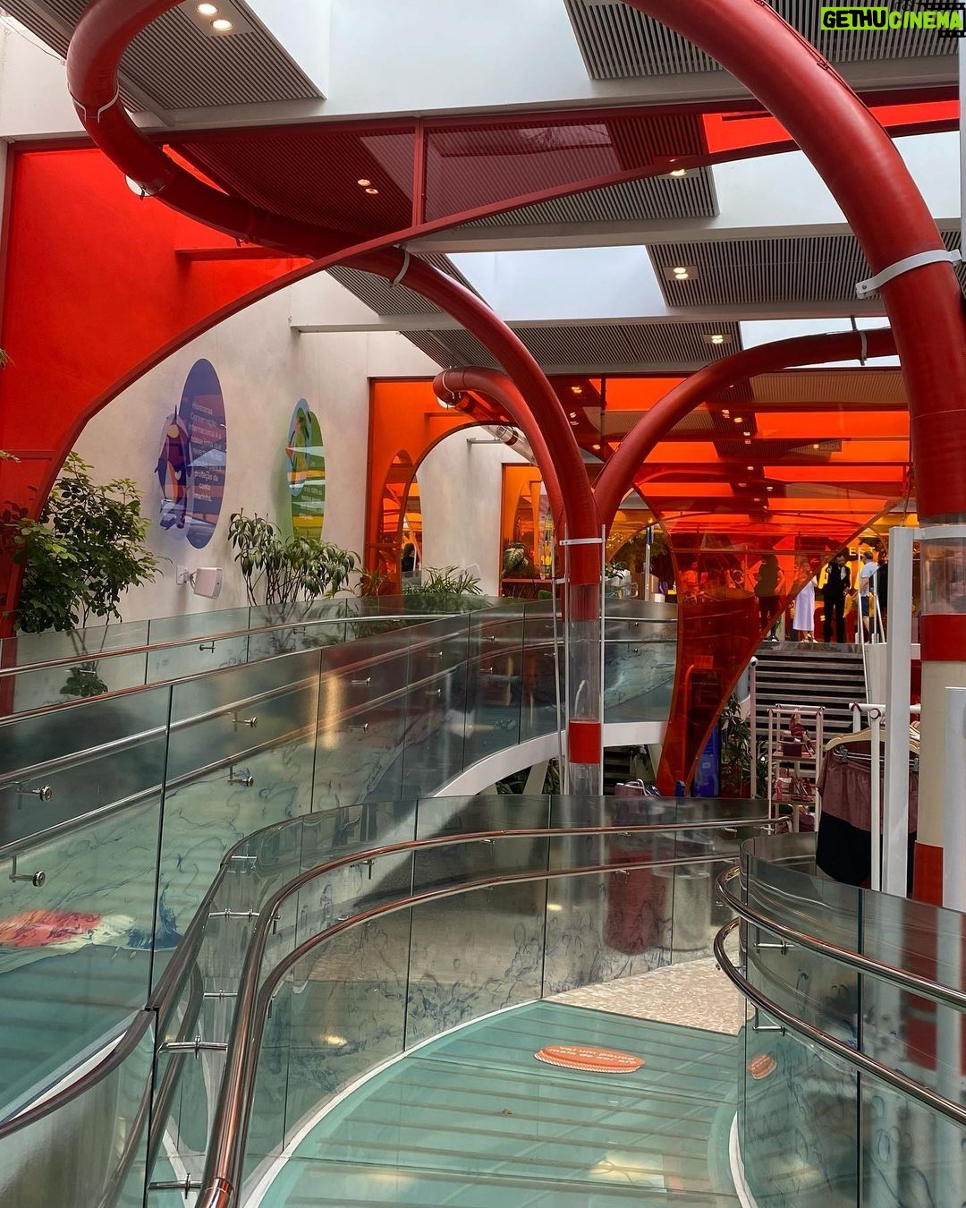 Vanesha Prescilla Instagram - full team visited havaianas office & the flagship store, sao paolo🇧🇷🌸 met the innovation team aaand got the chance to take a deeper look into the creative process behind the new shapes at havaianas. it's fun to learn something new you knoooww #HavaianasinBrazil2023 #HavainasIndonesia #MadeinBrazil #DesignForAFreeLife São Paulo, Brazil