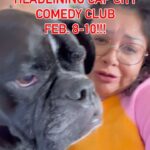 Vanessa Gonzalez Instagram - 🎟️ GET UR TIX 🎟️ LINK IN BIO 💋 I’m so excited to feature some of my favorite comics in Austin!!! ❤️‍🔥❤️‍🔥❤️‍🔥❤️‍🔥❤️‍🔥 2/8 8p @rochelle_war ✨ @angelinajmartin ✨ 2/9 730p @lisacfriedrich ✨ @lilmisspopovich ✨ 2/9 10p @dat_ash ✨ @clara_blackstone ✨ 2/10 730p @brandidaviscomedy ✨ @roxycastillocomedy ✨ 2/10 10p @brettvcomedy ✨ @tori_bori_allegory ✨ #standup #standupcomedy #austin #austincomedy #funny #comedytour Austin, Texas
