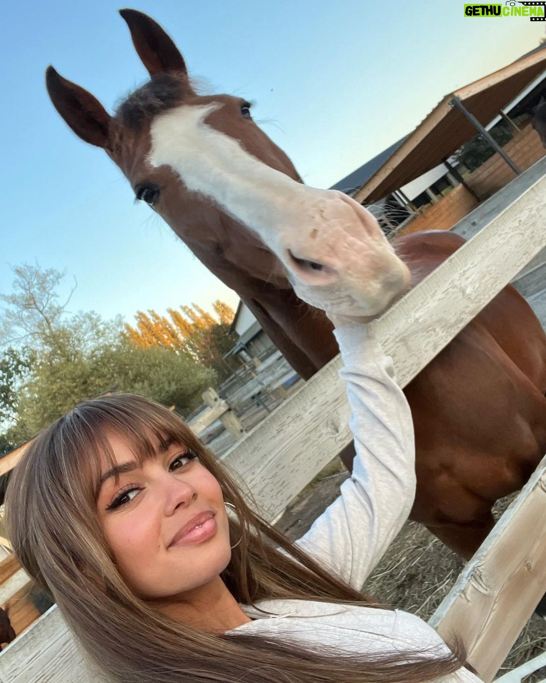 Vanessa Morgan Instagram - October Dump ๐งก ๐ ๐
