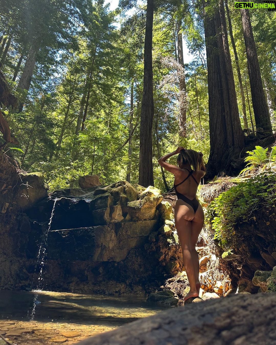 Vanessa Morgan Instagram - Recharging in The Redwoods 🌲☀️ No place I’d rather be @canyonranch
