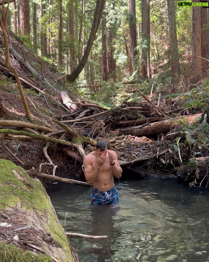 Vanessa Morgan Instagram - Recharging in The Redwoods 🌲☀️ No place I’d rather be @canyonranch