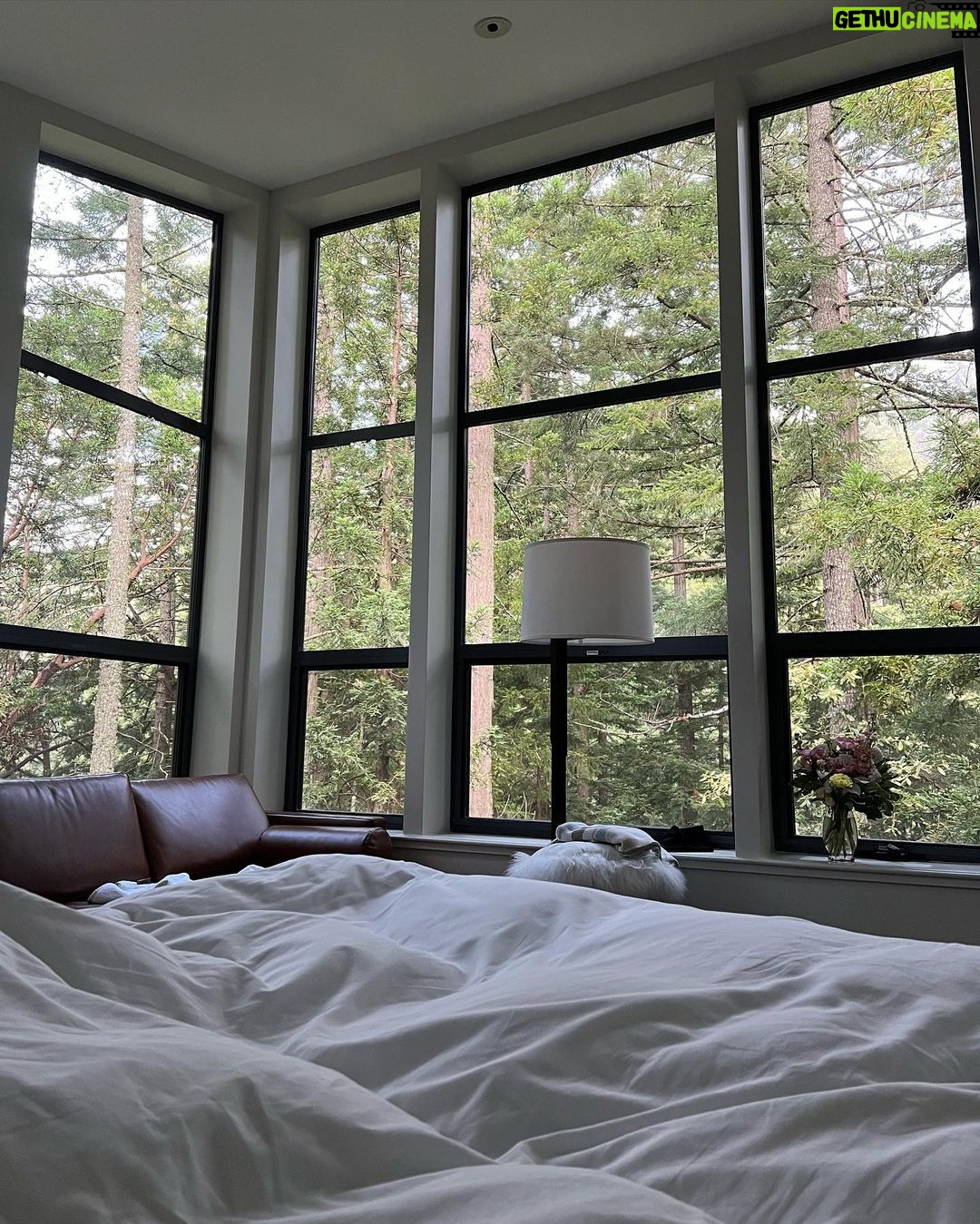 Vanessa Morgan Instagram - Recharging in The Redwoods 🌲☀️ No place I’d rather be @canyonranch
