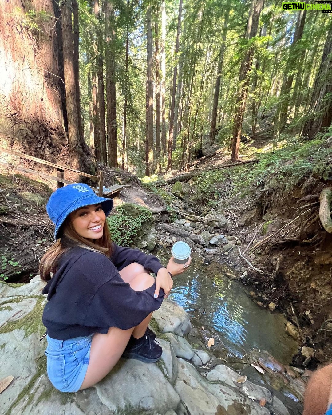 Vanessa Morgan Instagram - Recharging in The Redwoods 🌲☀️ No place I’d rather be @canyonranch