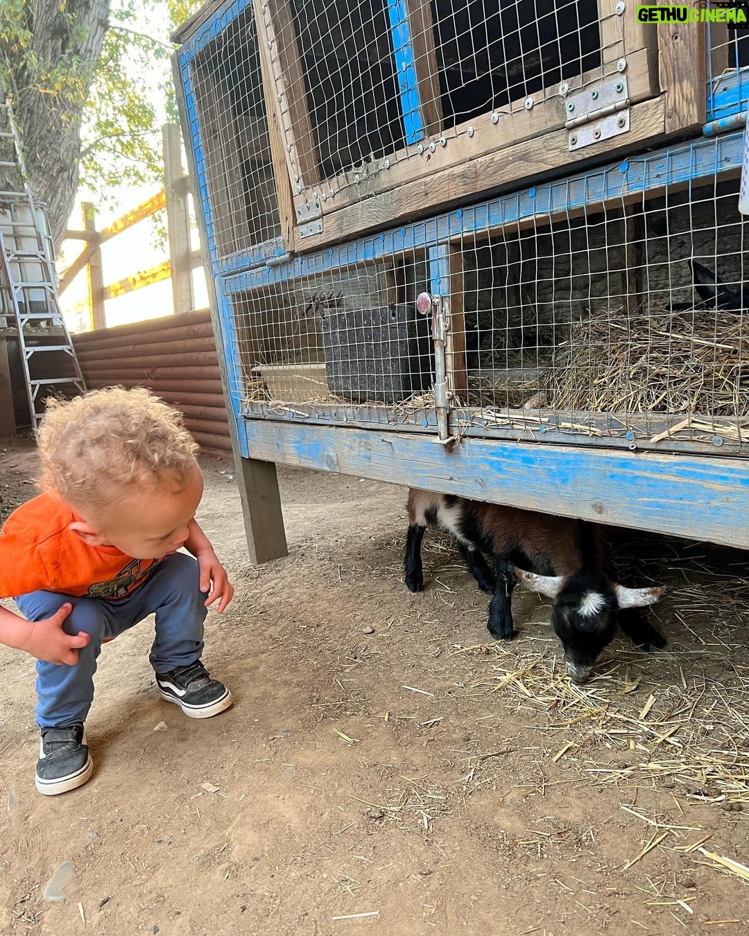 Vanessa Morgan Instagram - Your fav babysitting vampire 🧛🏻♀️🎃♥️ Maan Farms Country Experience & Estate Winery