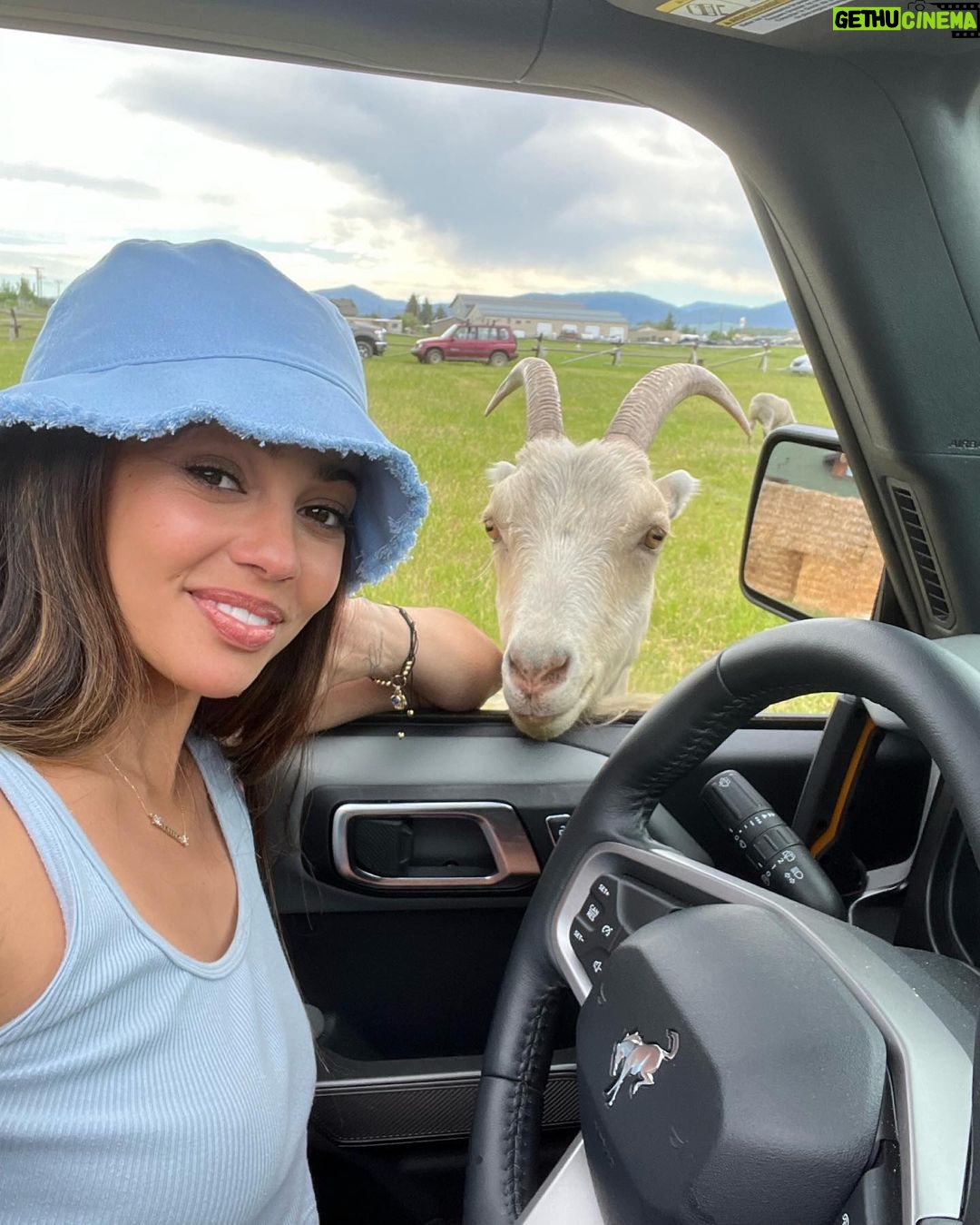 Vanessa Morgan Instagram - Made a new friend in Montana 🐐🥰