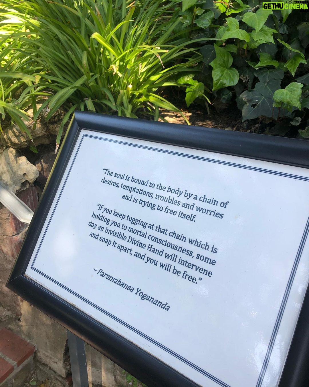 Vanessa Morgan Instagram - What you are seeking from others is what God is seeking from you 🤍 grateful for the synchronicities, beautiful souls & all the love that’s been surrounding me recently. Divine love is the only reality.✨